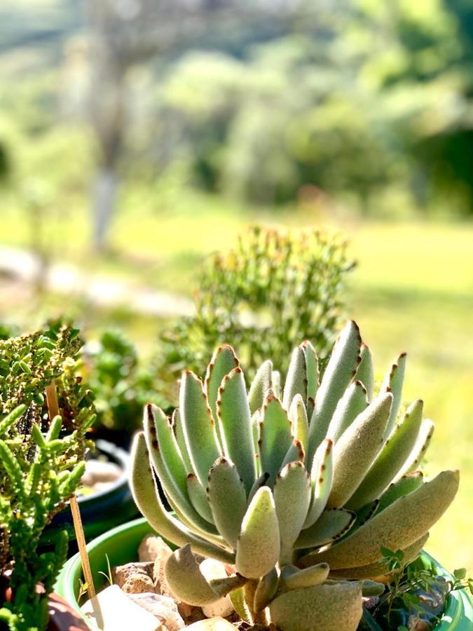 Recanto Roca Grande Cunha Exterior foto
